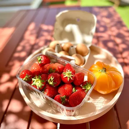 Вилла Cocoon - Montpellier Et Plages *