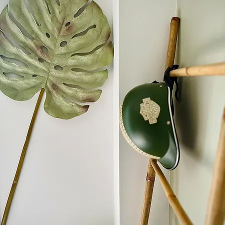 Cocoon - Montpellier Et Plages